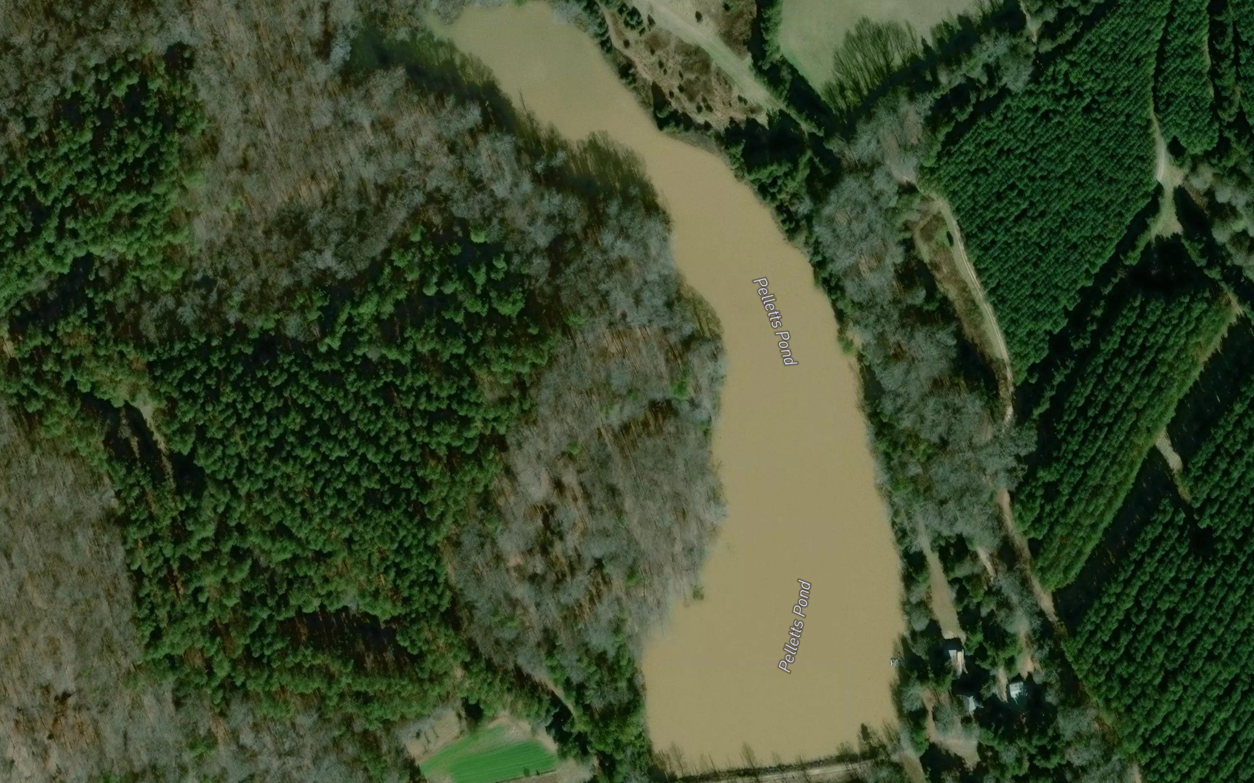Pelletts Pond