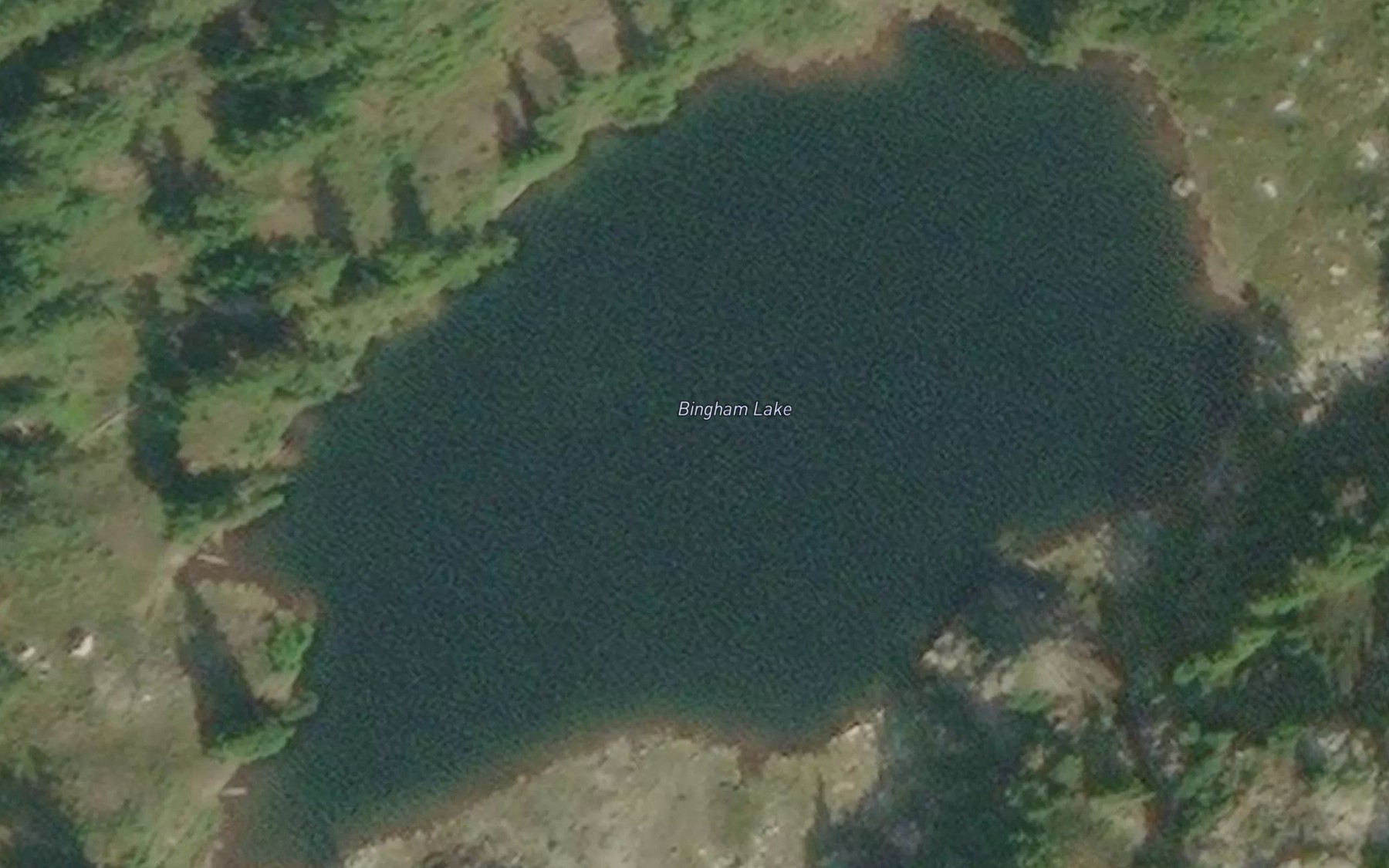 Satellite map of the Bingham Lake
