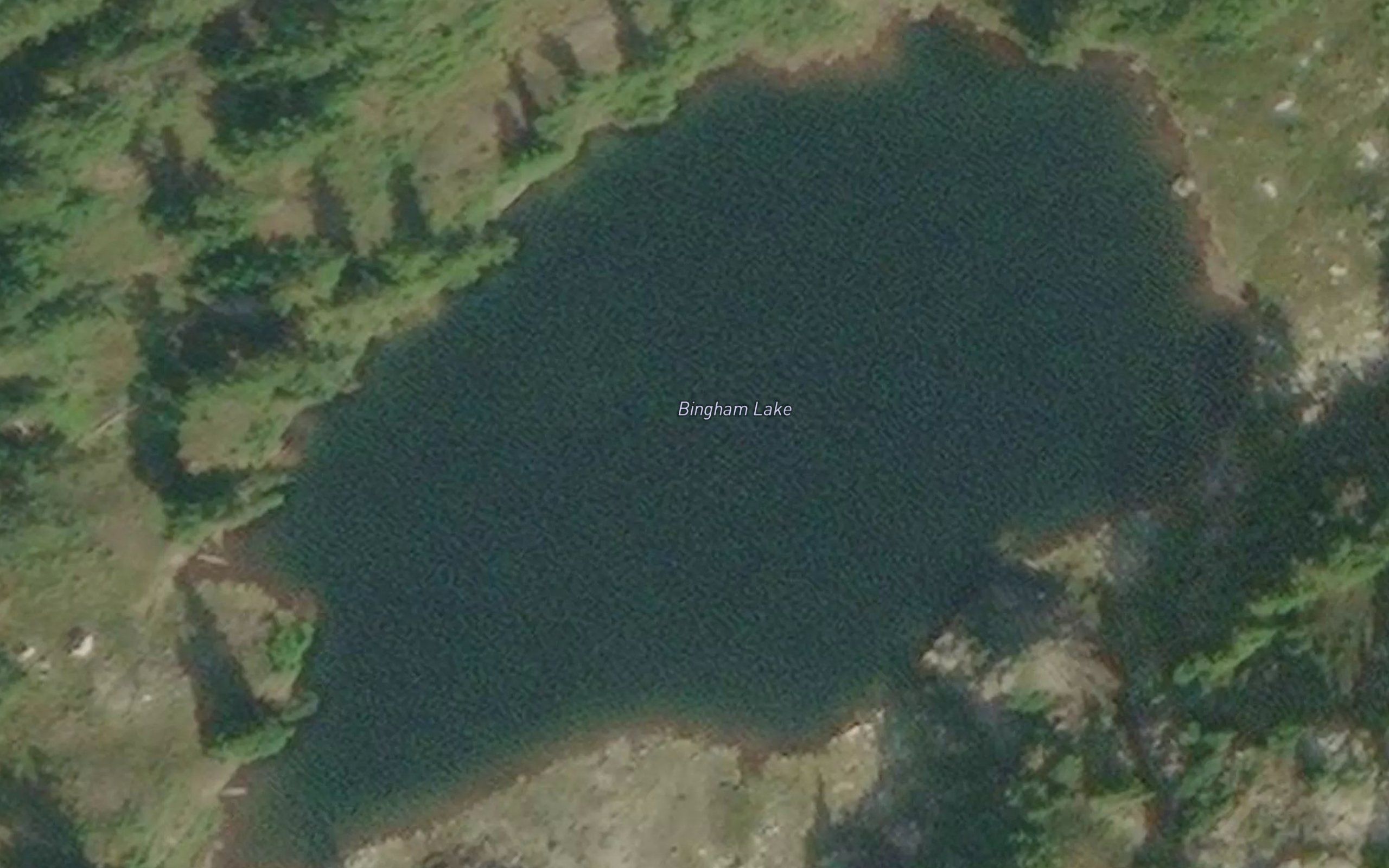 Bingham Lake