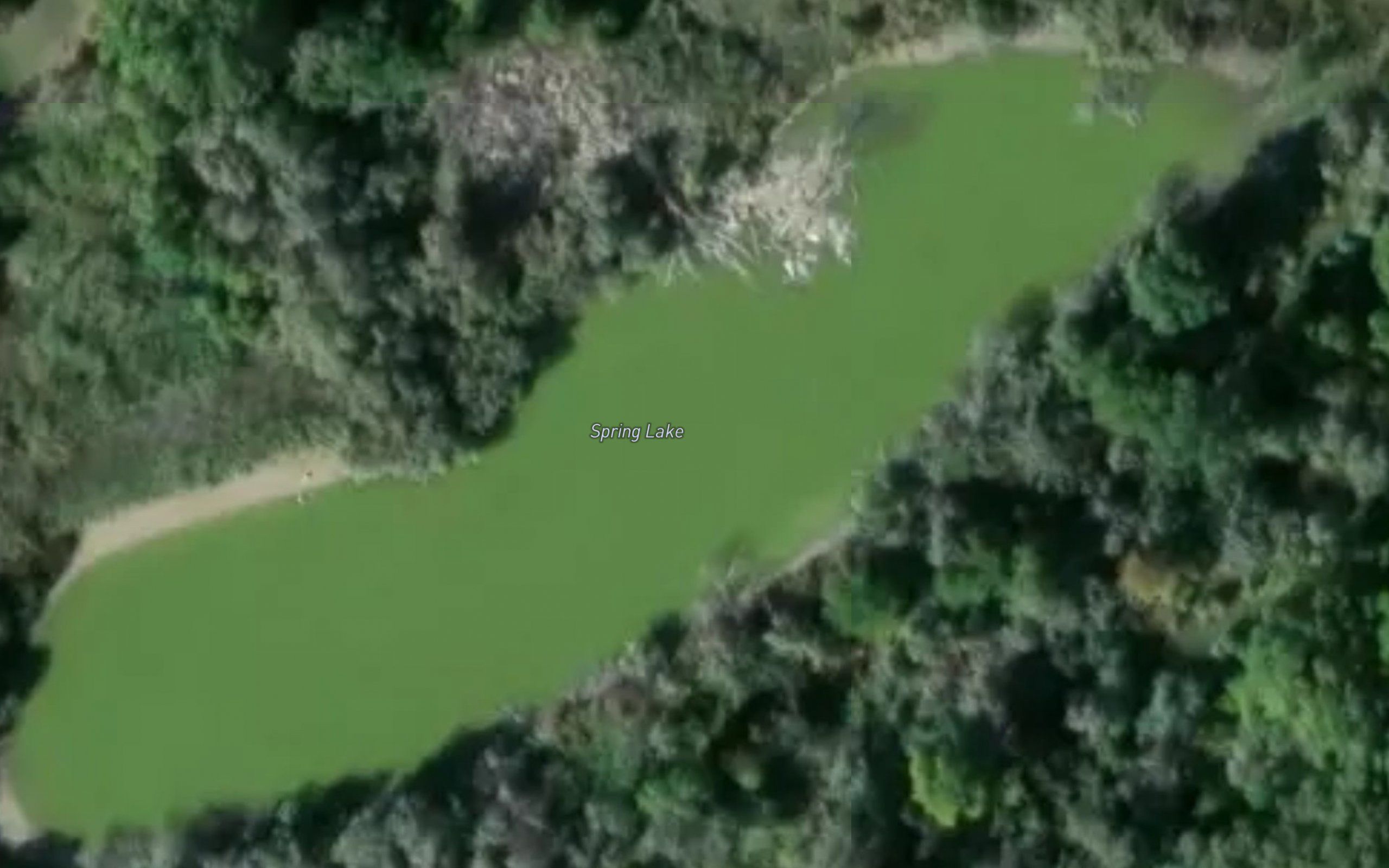 Spring Lake