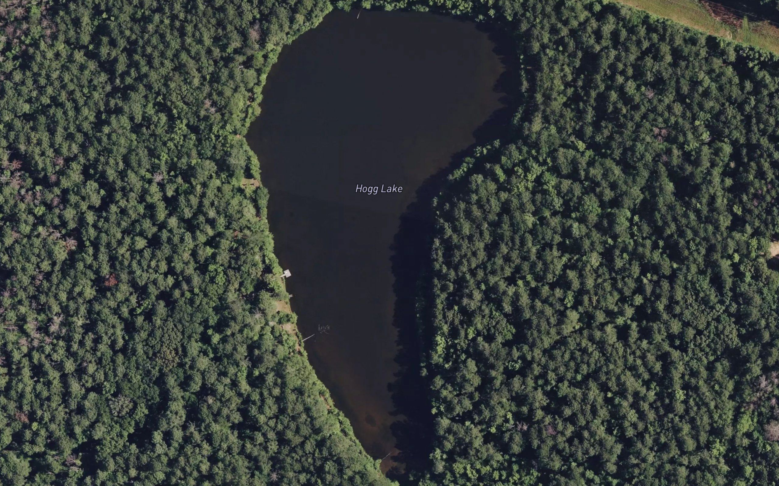 Hogg Lake