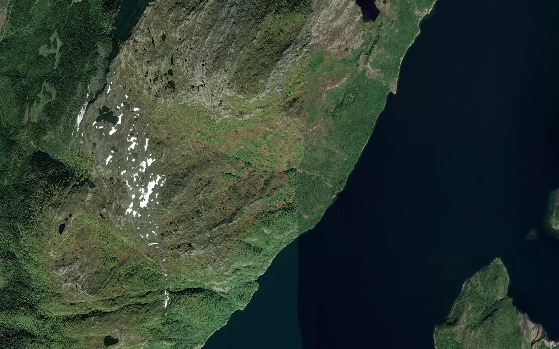 Satellite map of the Bjornbekken