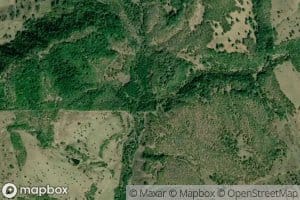 Hog Creek