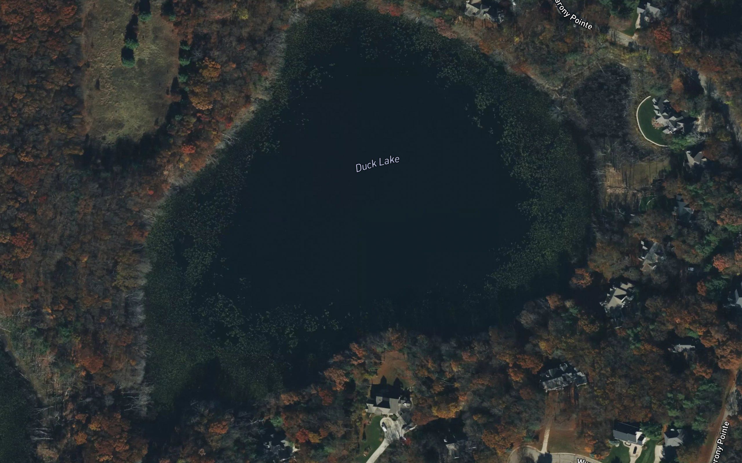 Duck Lake