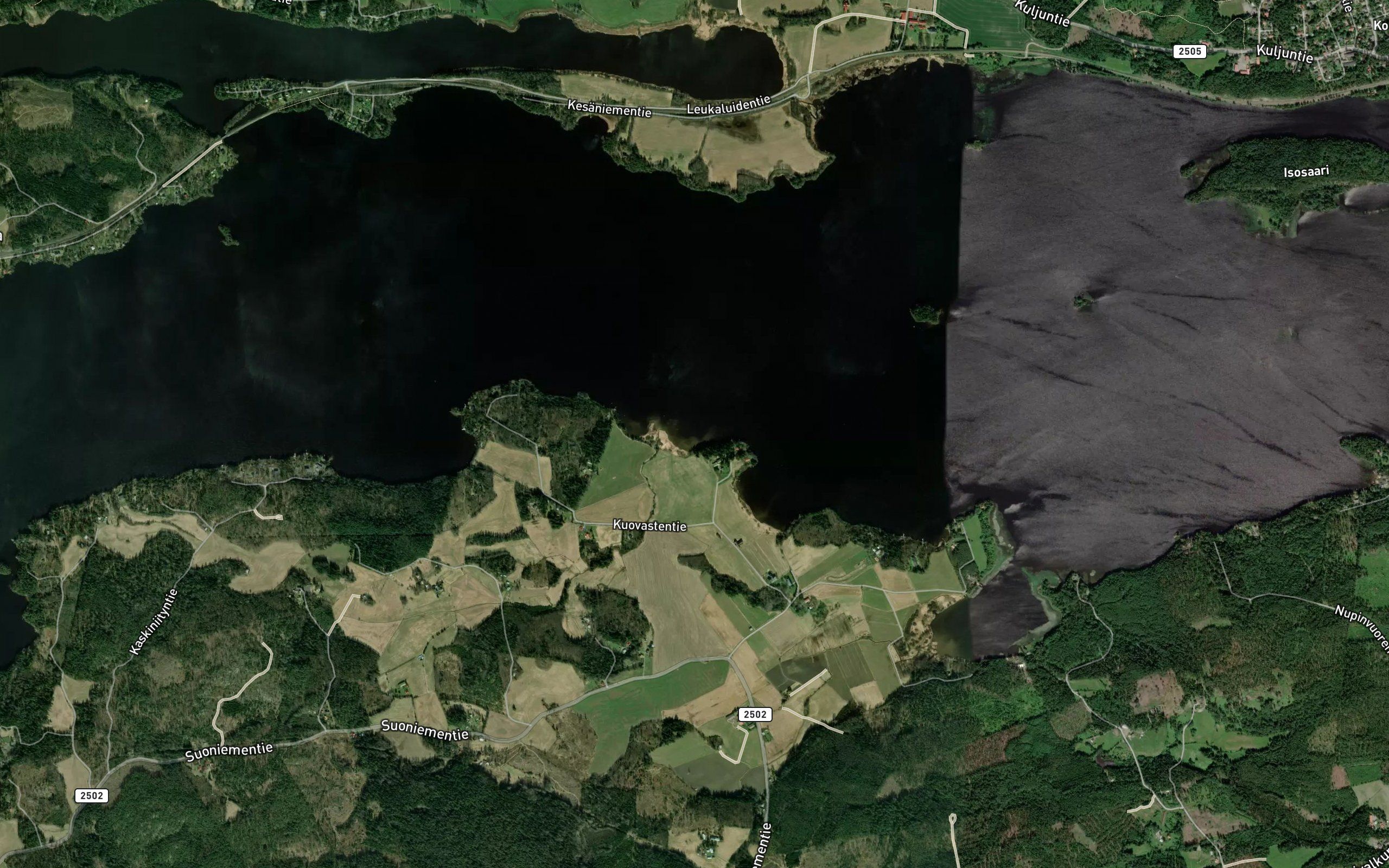 Niskantaustanlahti