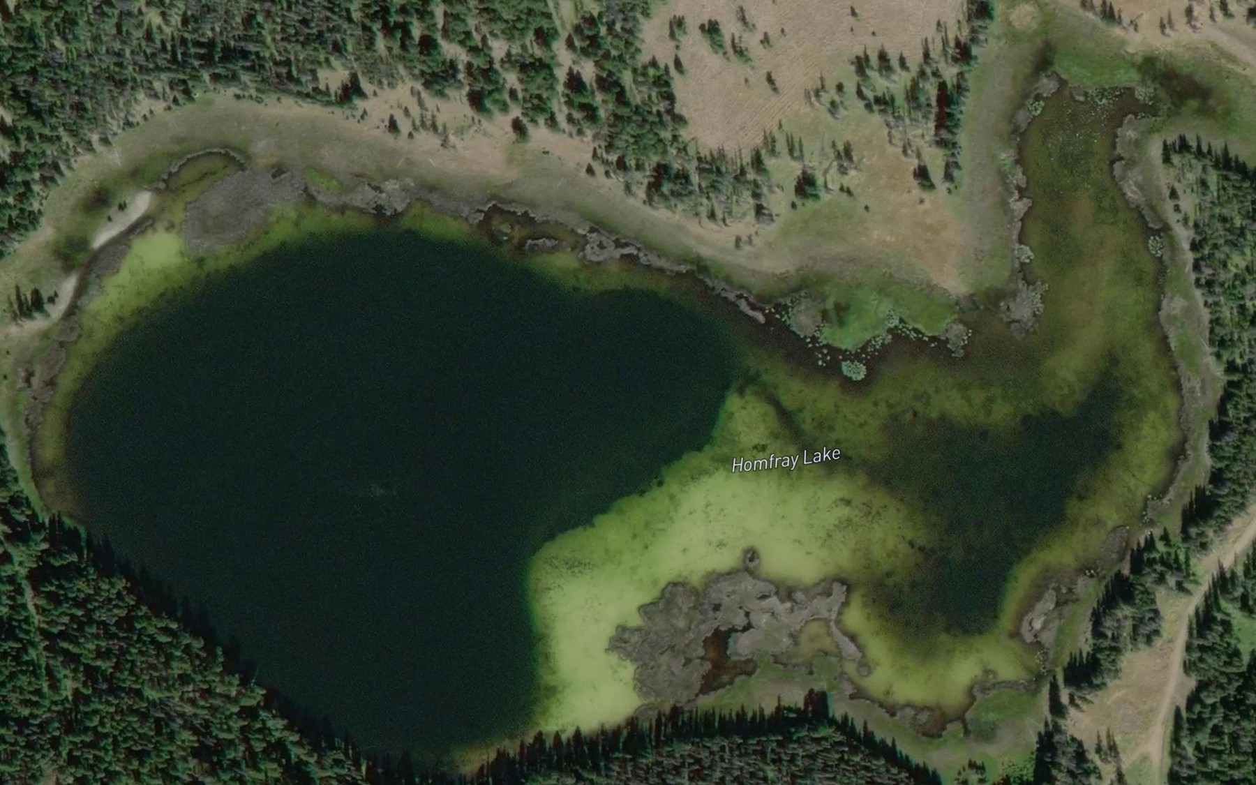 Satellite map of the Homfray Lake
