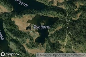 Oyetjorn