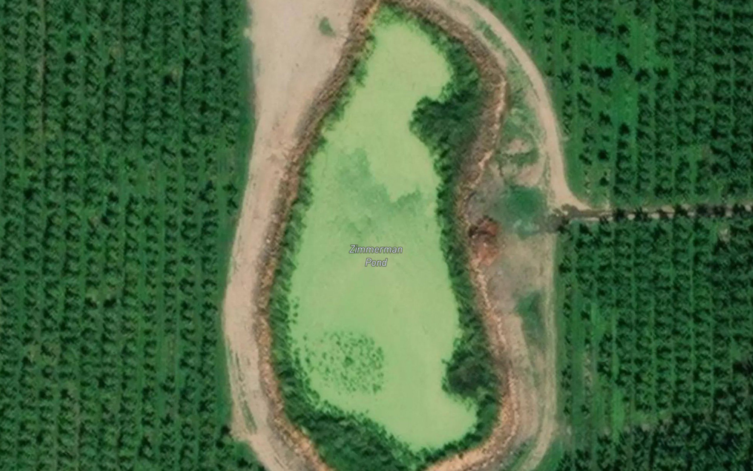 Zimmerman Pond