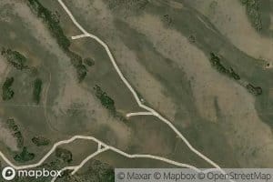 Chicken Spring