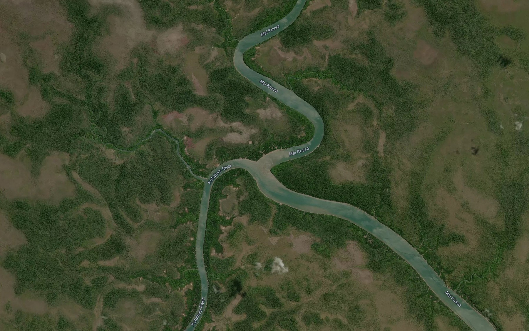 Satellite map of the Jari River