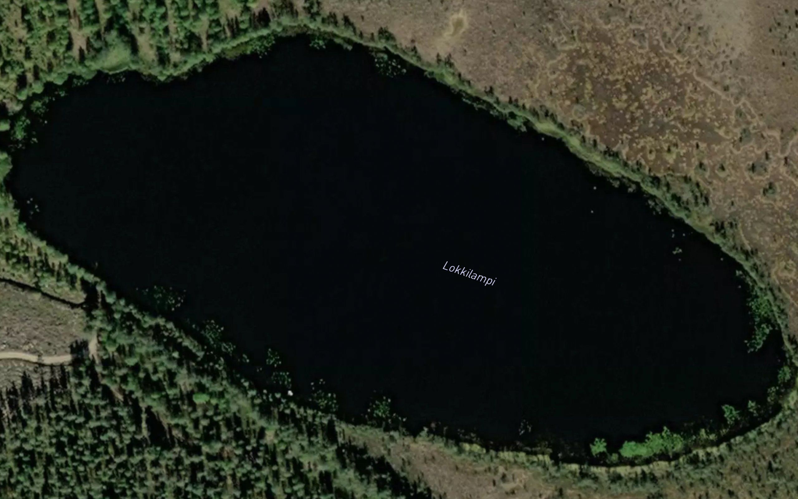 Lokkilampi