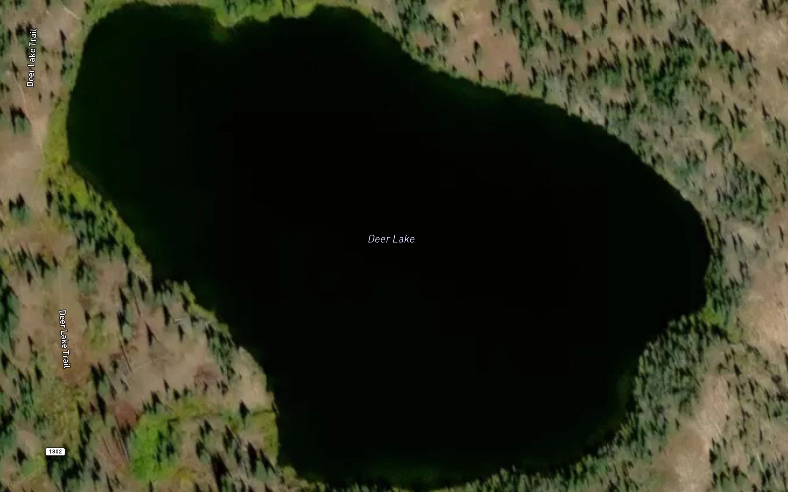 Deer Lake