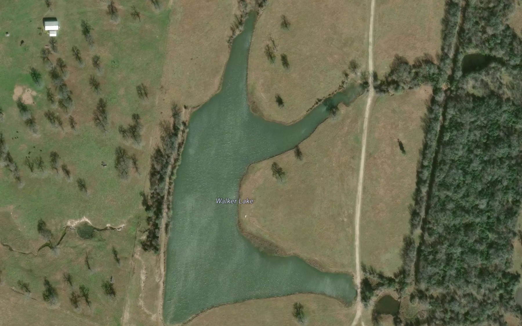 Satellite map of the Walker Lake
