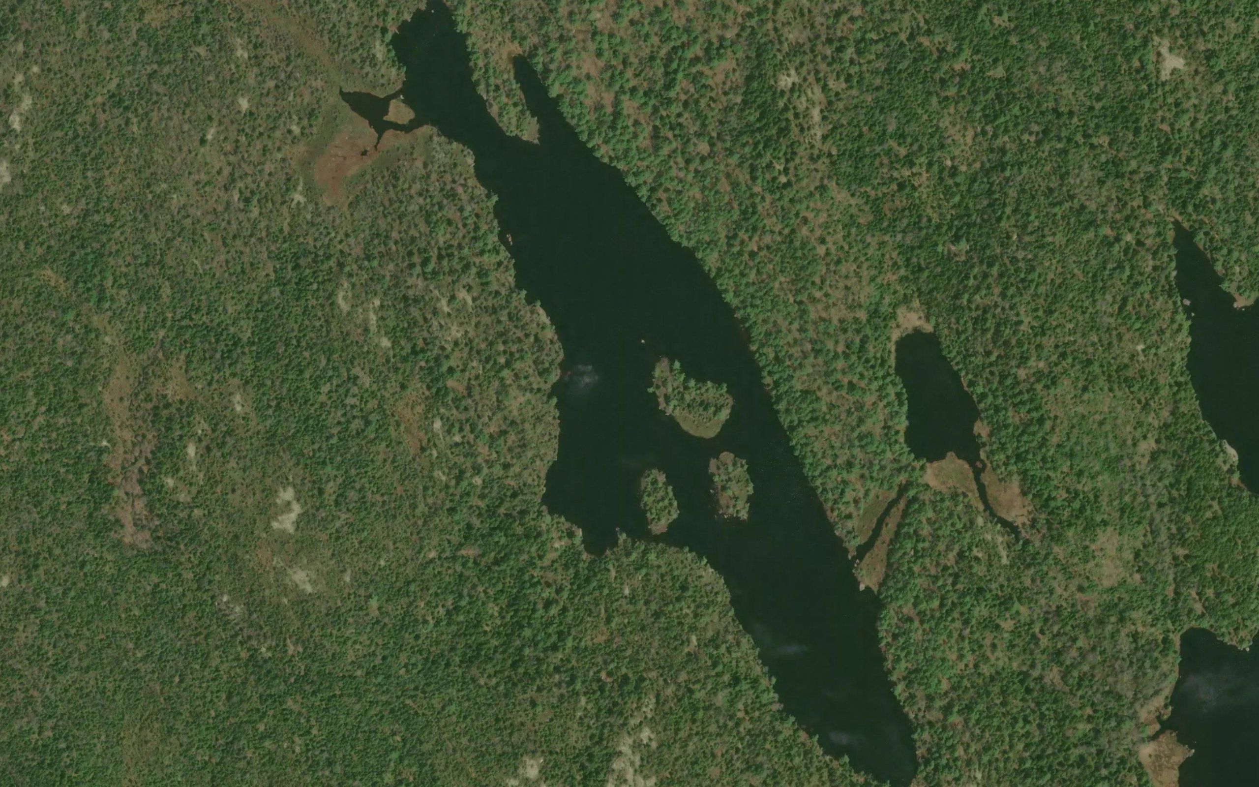 North Red Trout Lake