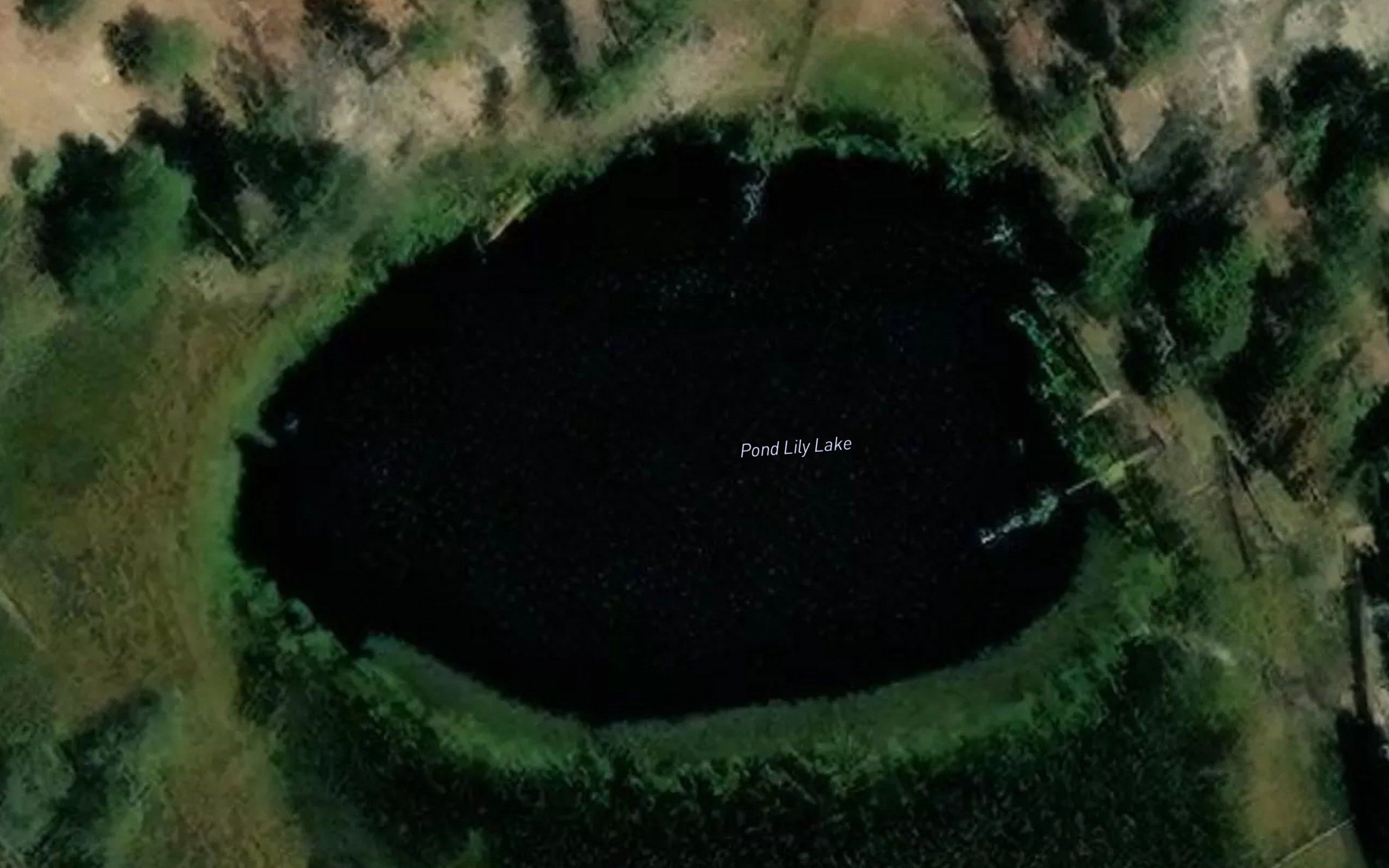 Pond Lily Lake