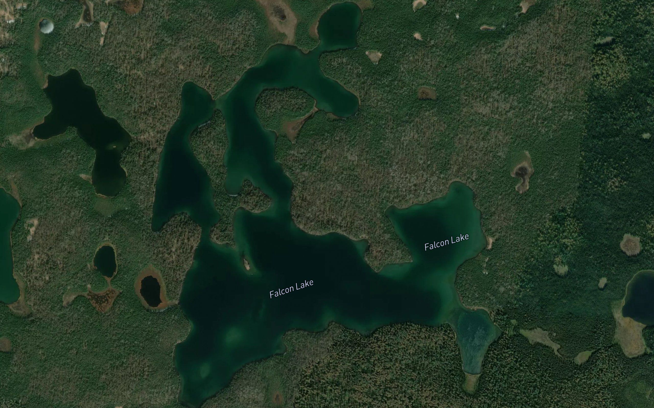Falcon Lake