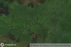 Cano Masmaslaya Tingni