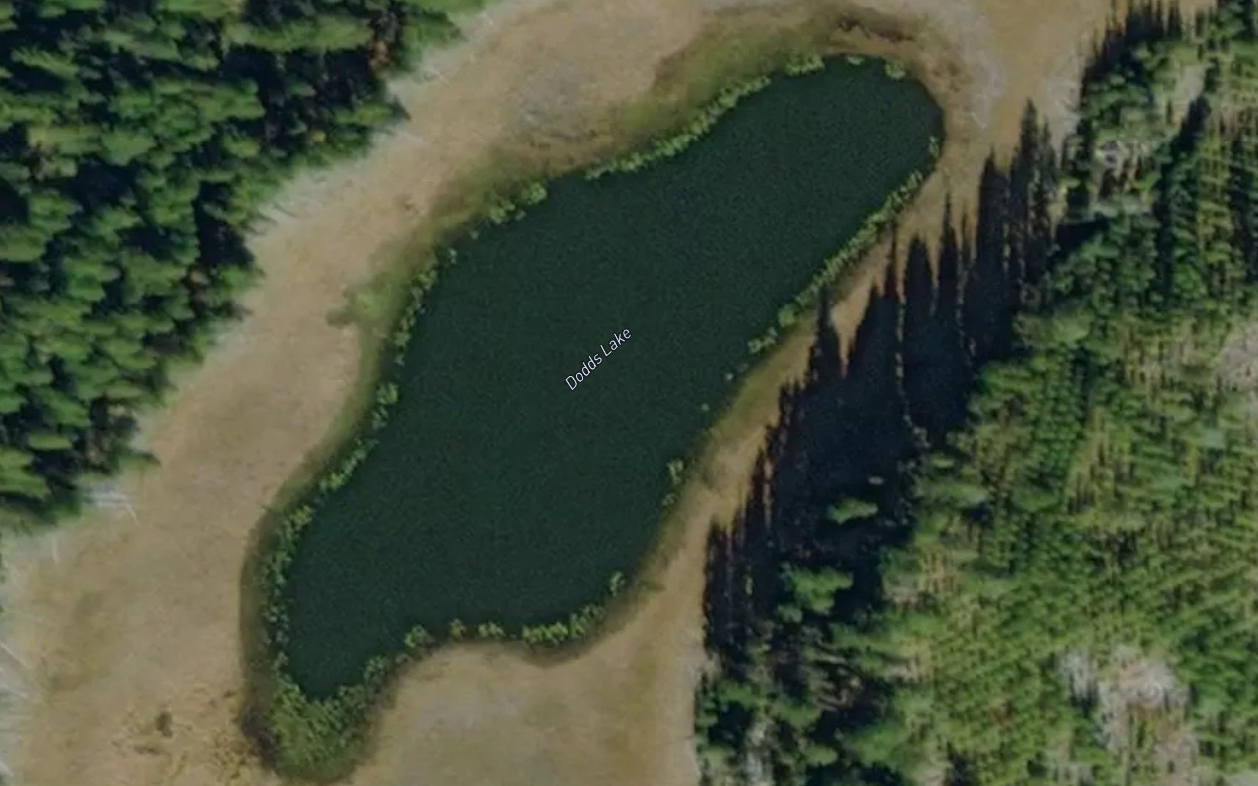 Dodds Lake