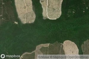 Starvation Branch