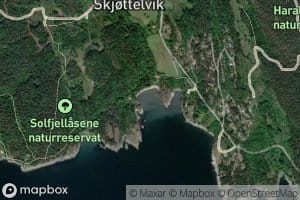 Skjottelvika