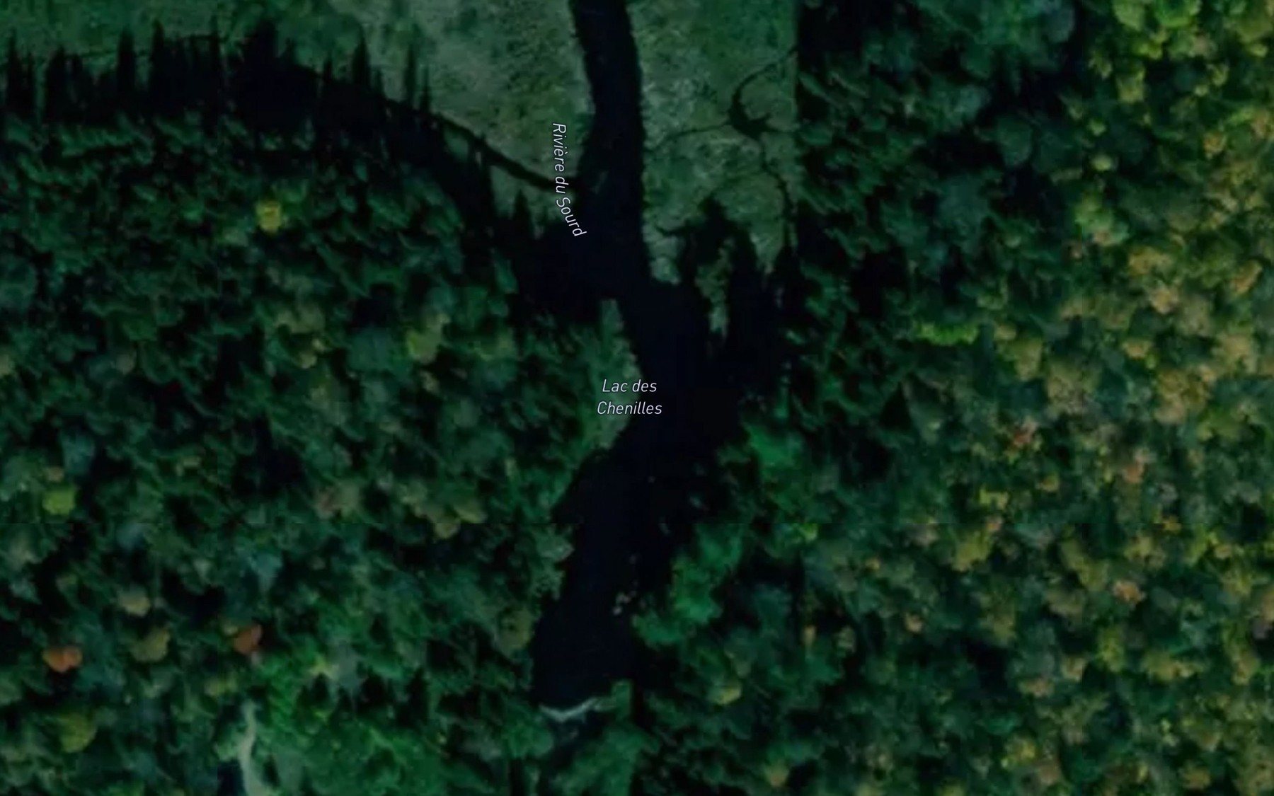 Satellite map of the Lac des Chenilles