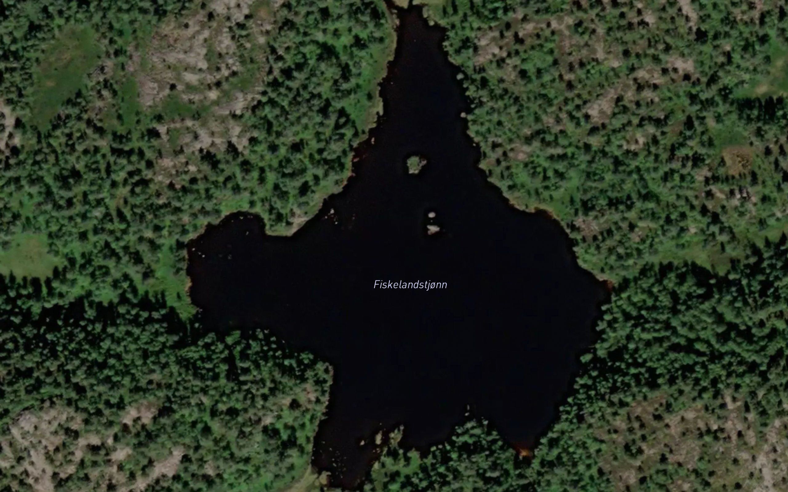 Fiskelandstjorni