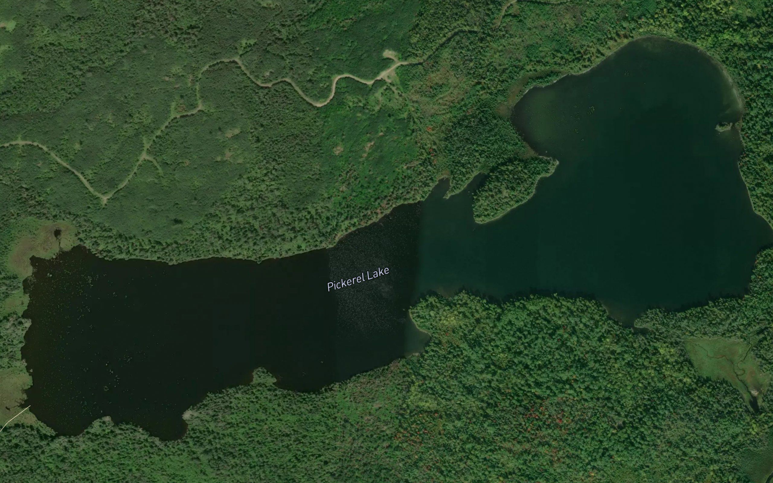 Pickerel Lake