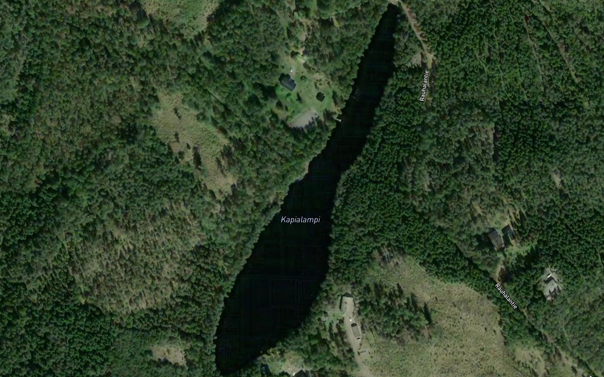 Kapialampi