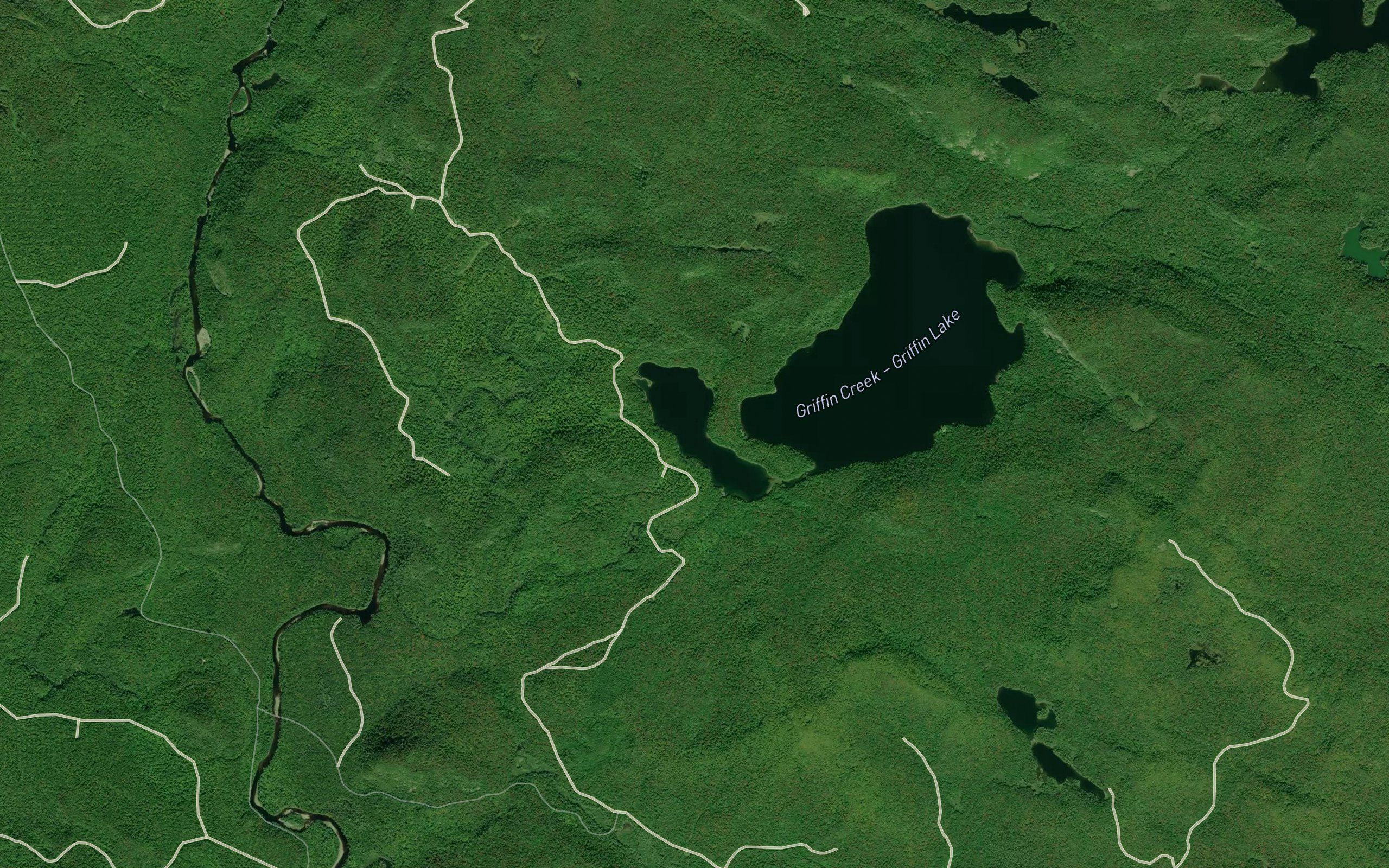 Lower Griffin Lake