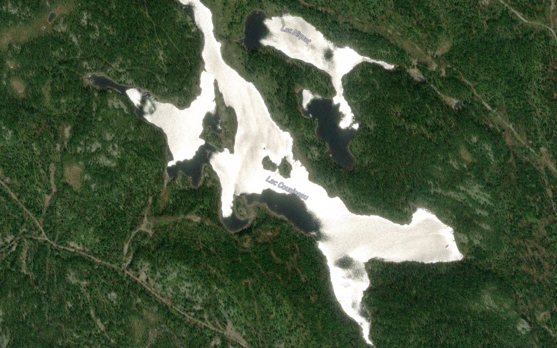 Satellite map of the Lac Cousineau