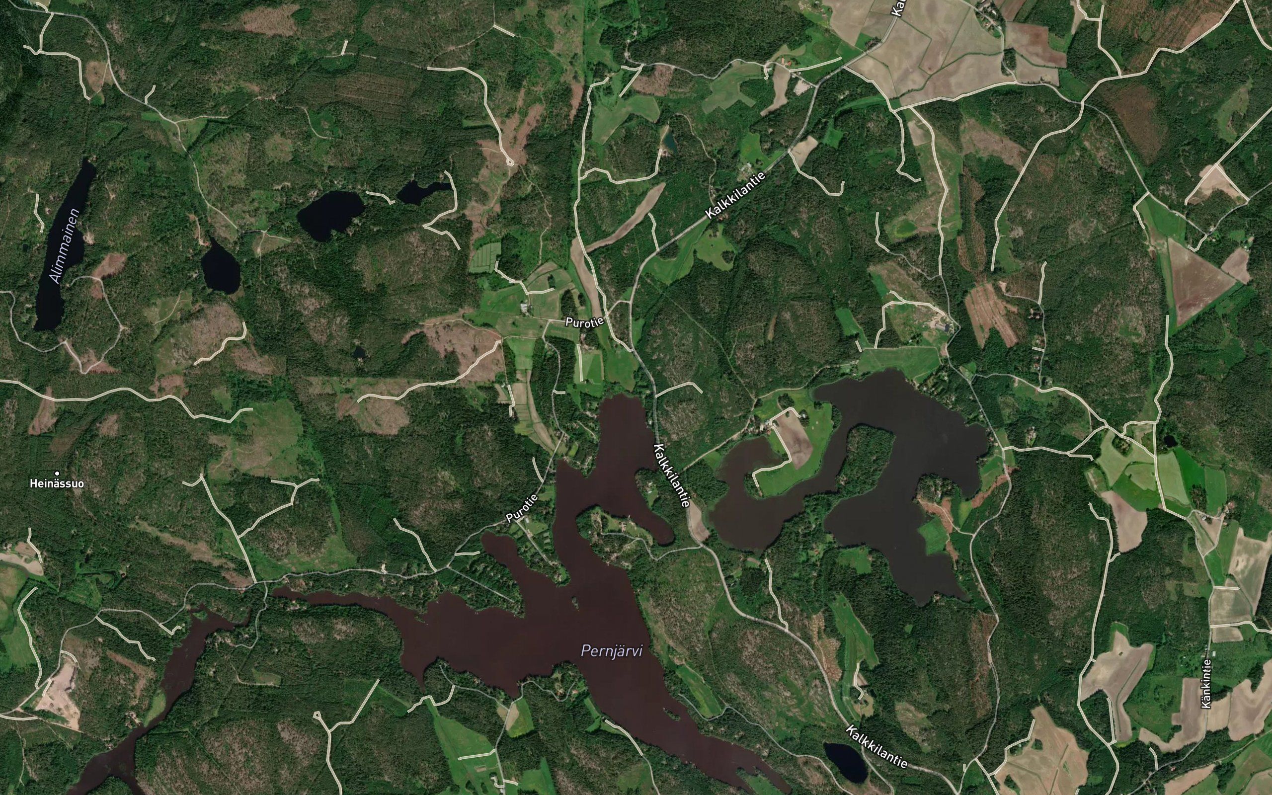 Rayskanoja