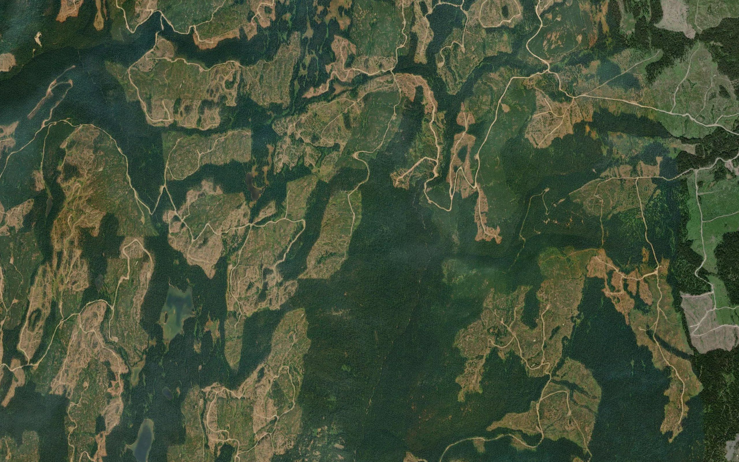 Waterloo Creek