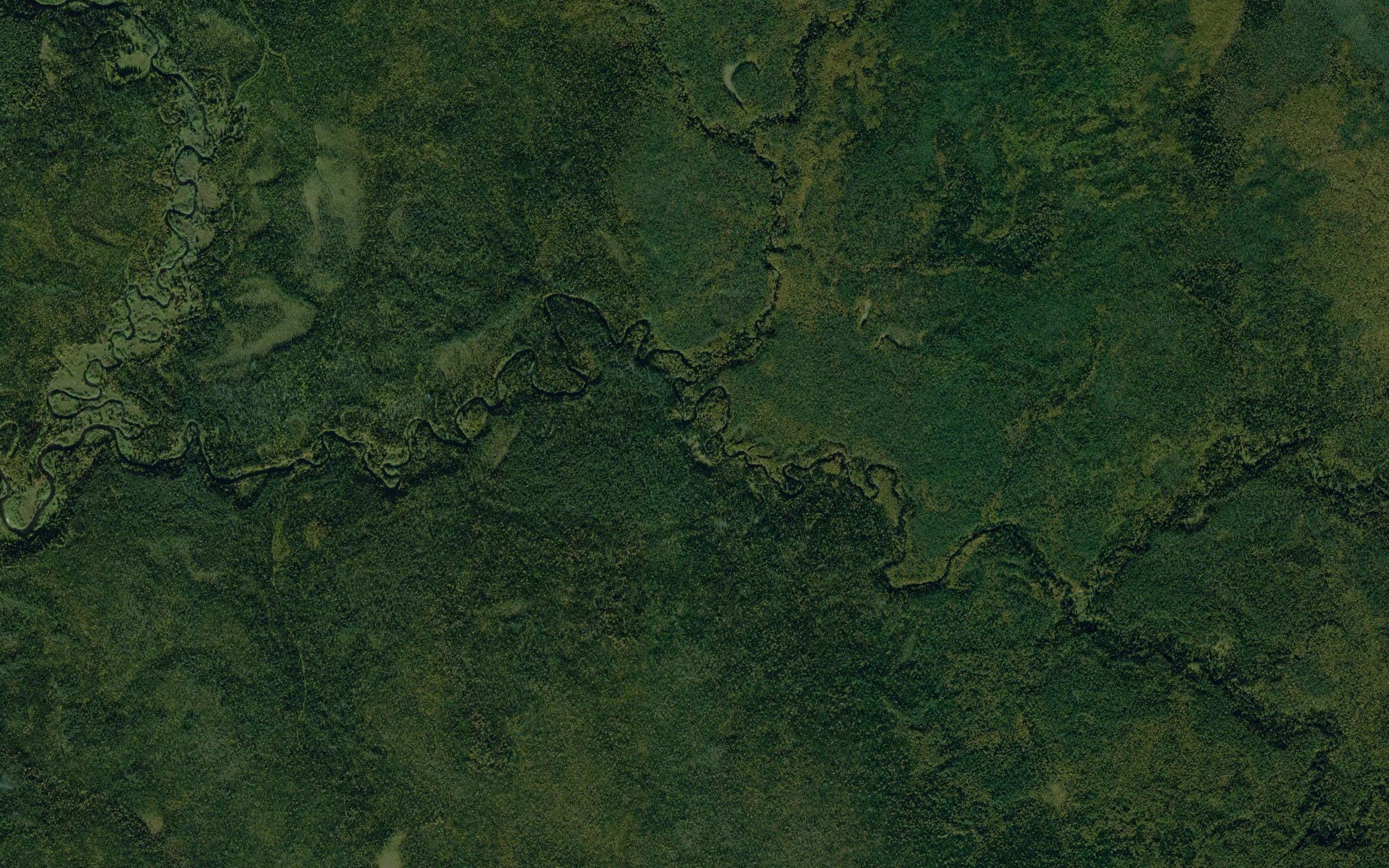 Krasnyy