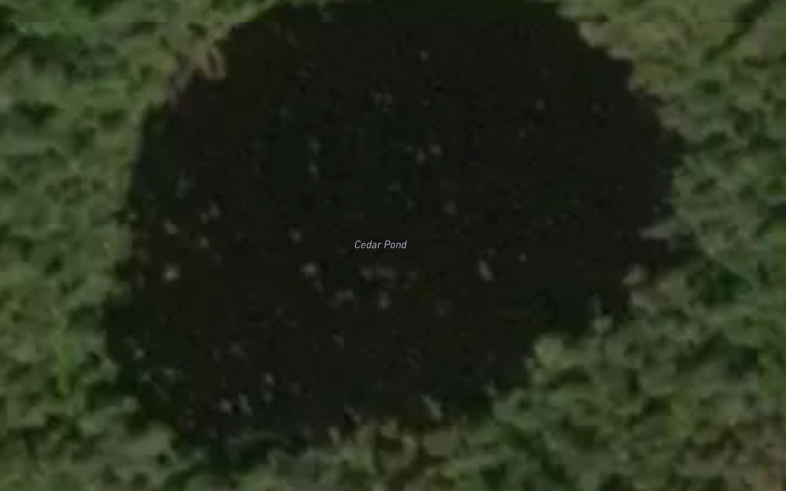 Cedar Pond