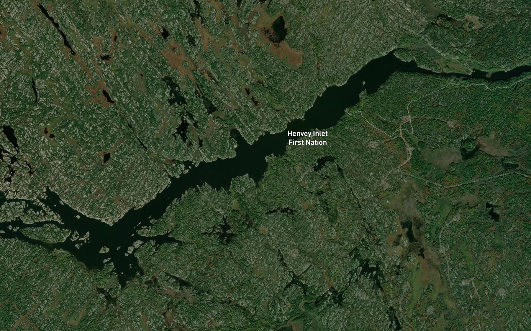 Satellite map of the The Flower Pot