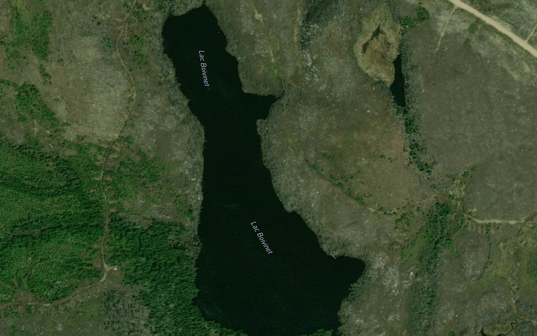 Satellite map of the Lac Boivinet