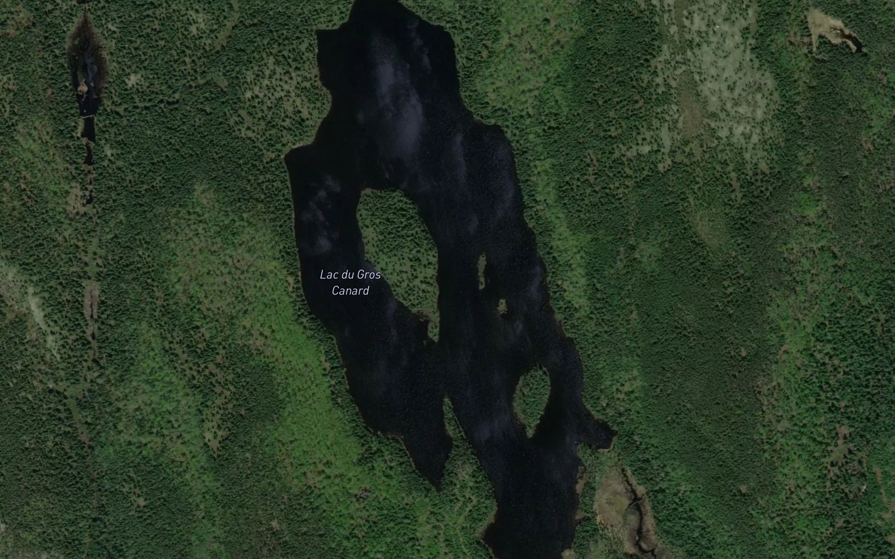 Satellite map of the Lac du Gros Canard