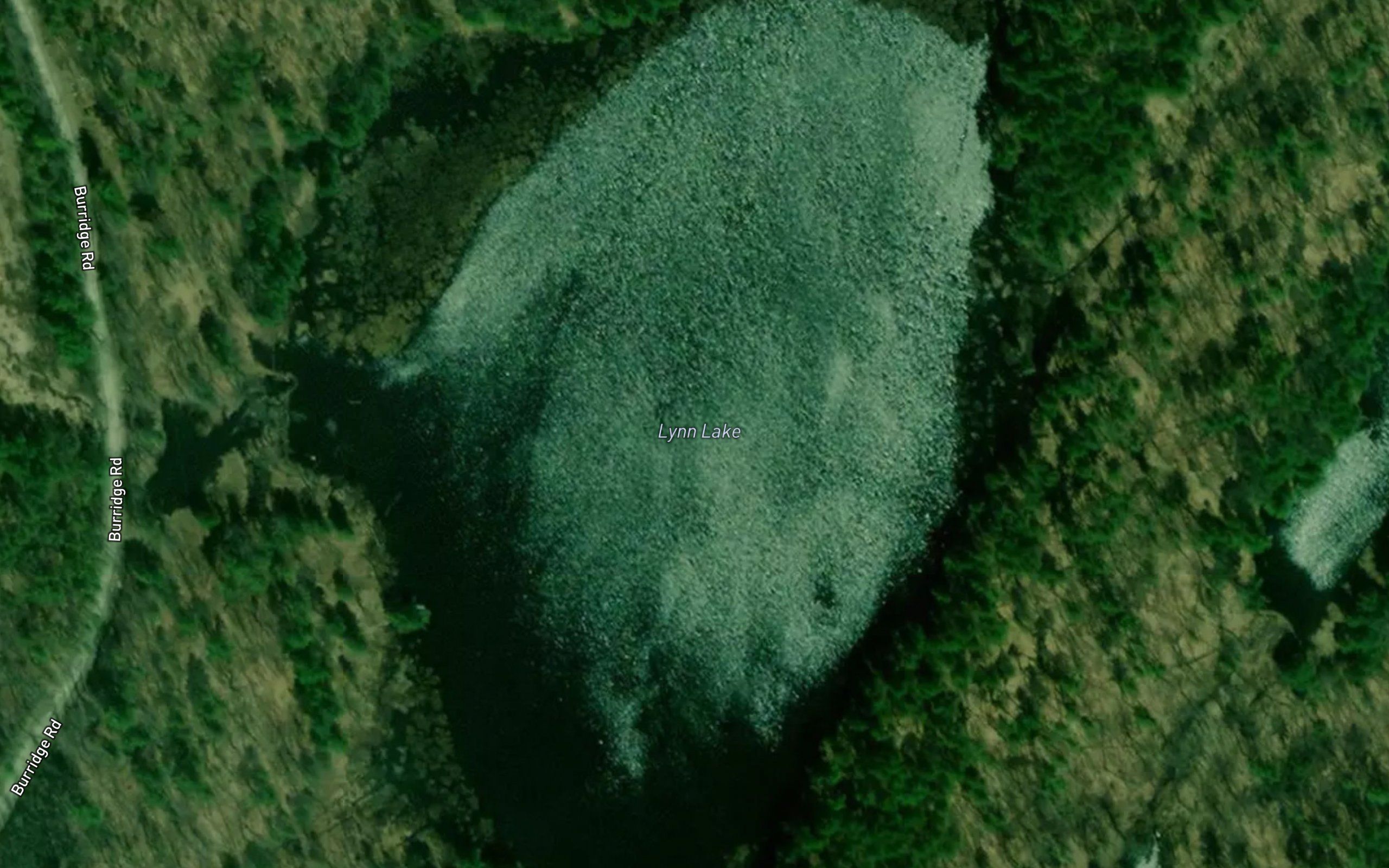 Lynn Lake