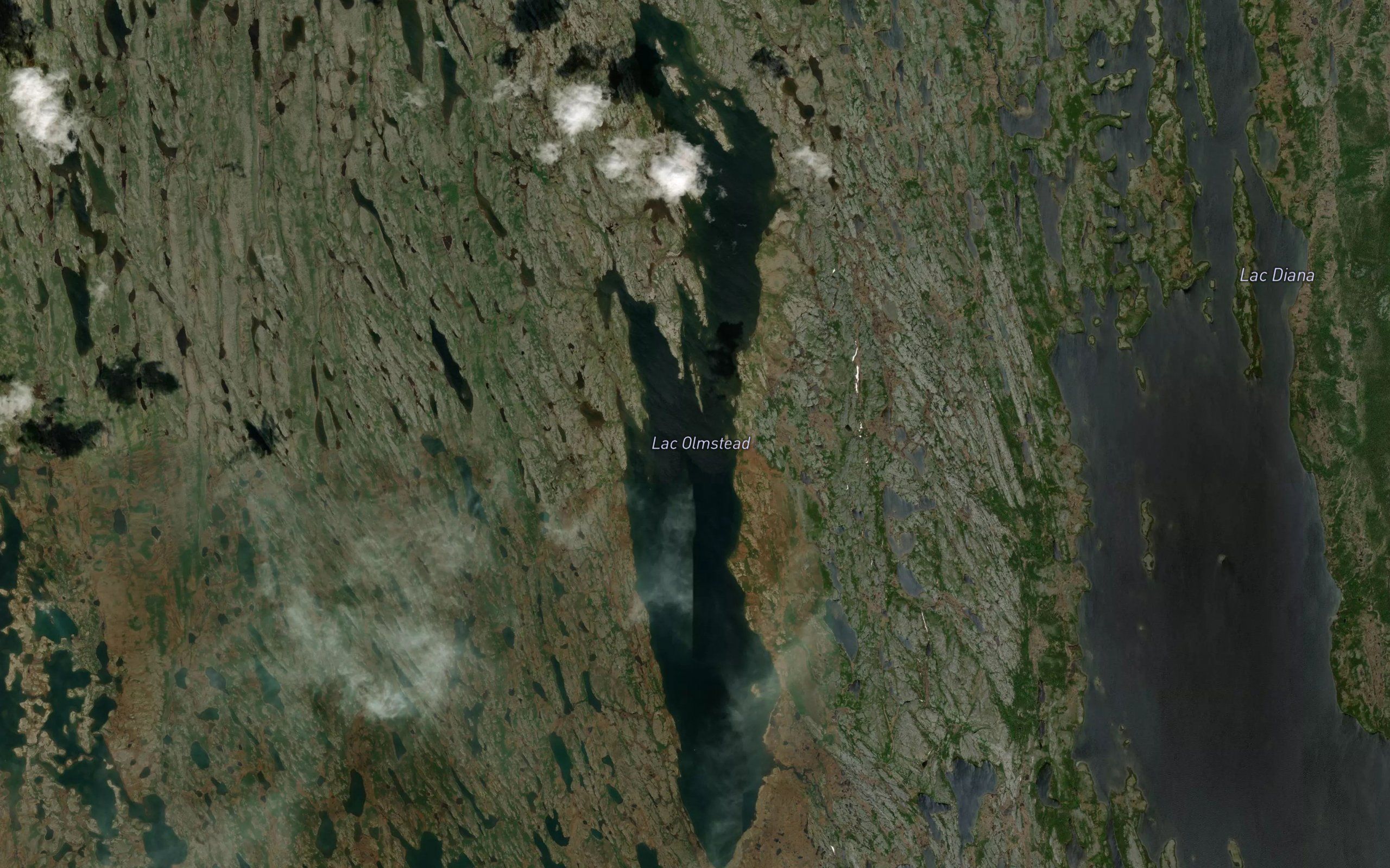 Lac Olmstead
