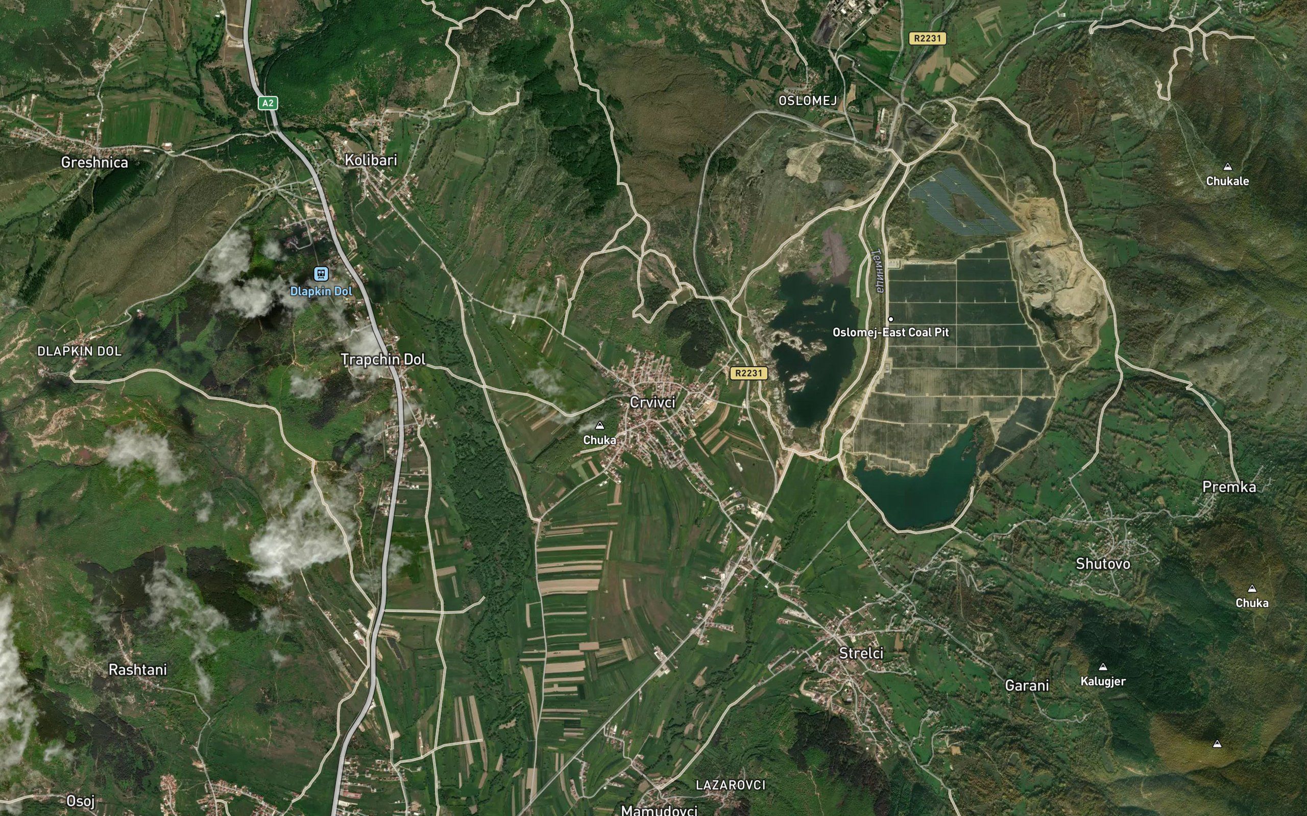 Crvivci