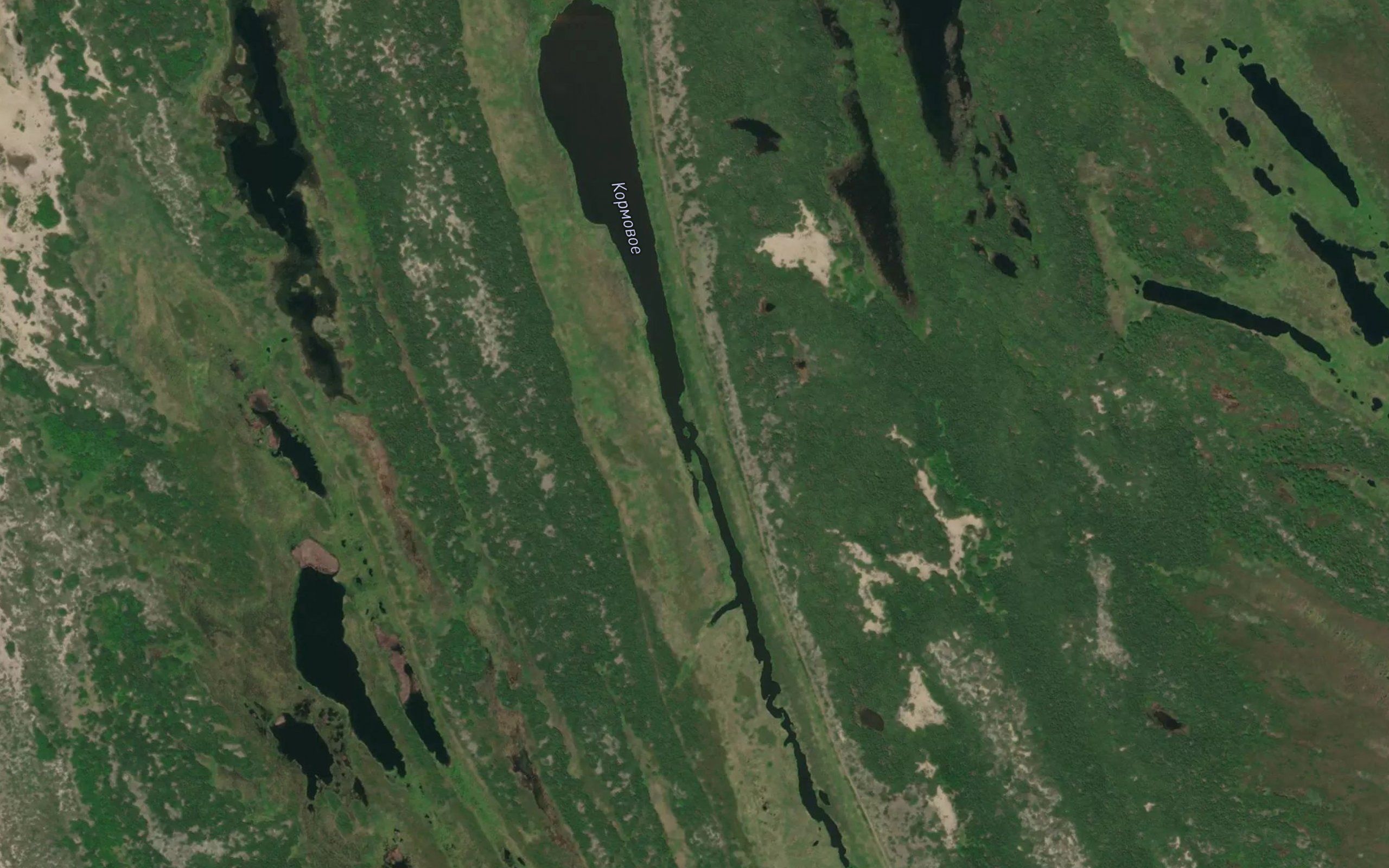Ozero Kormovoye
