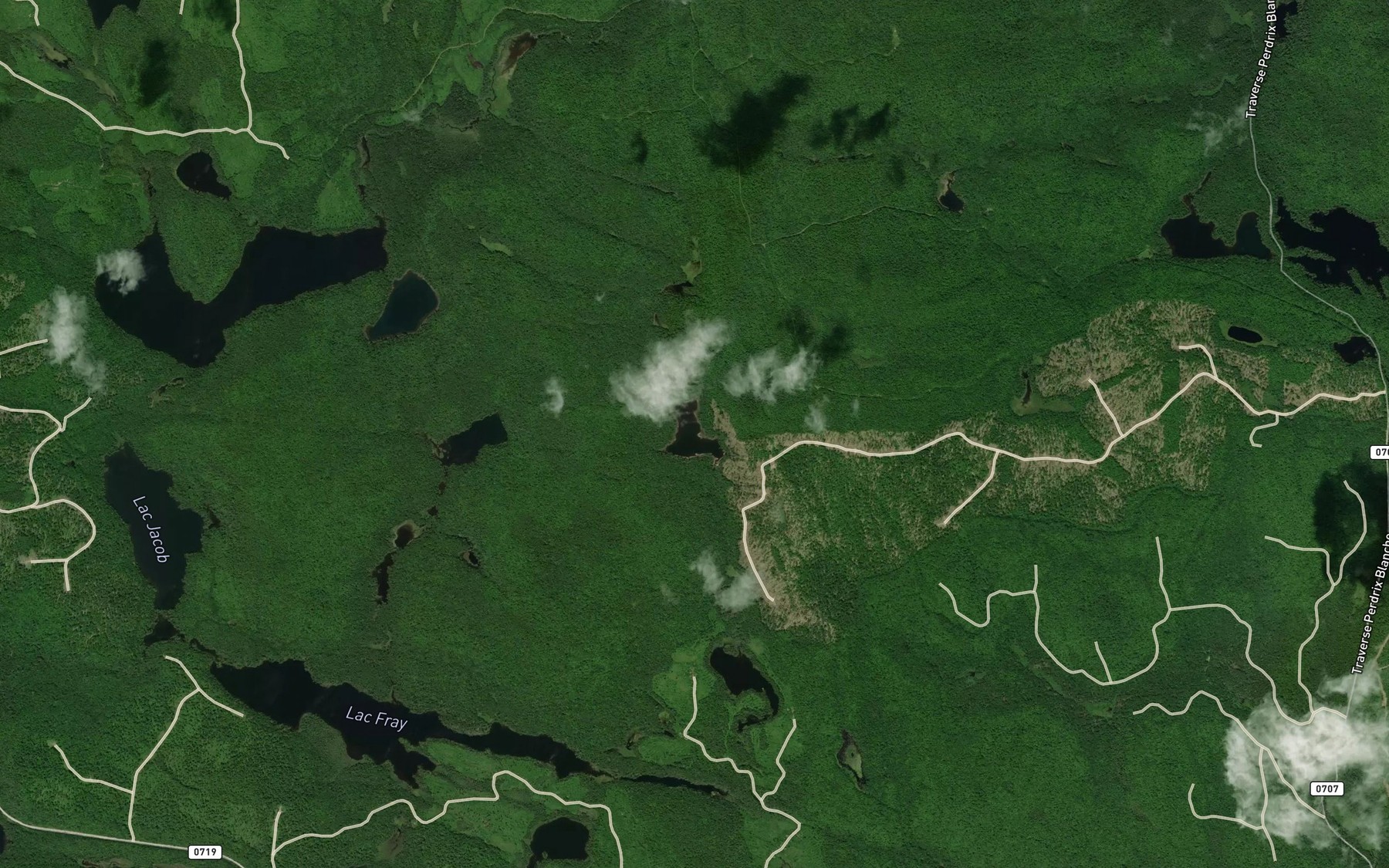 Satellite map of the Lac de la Tour