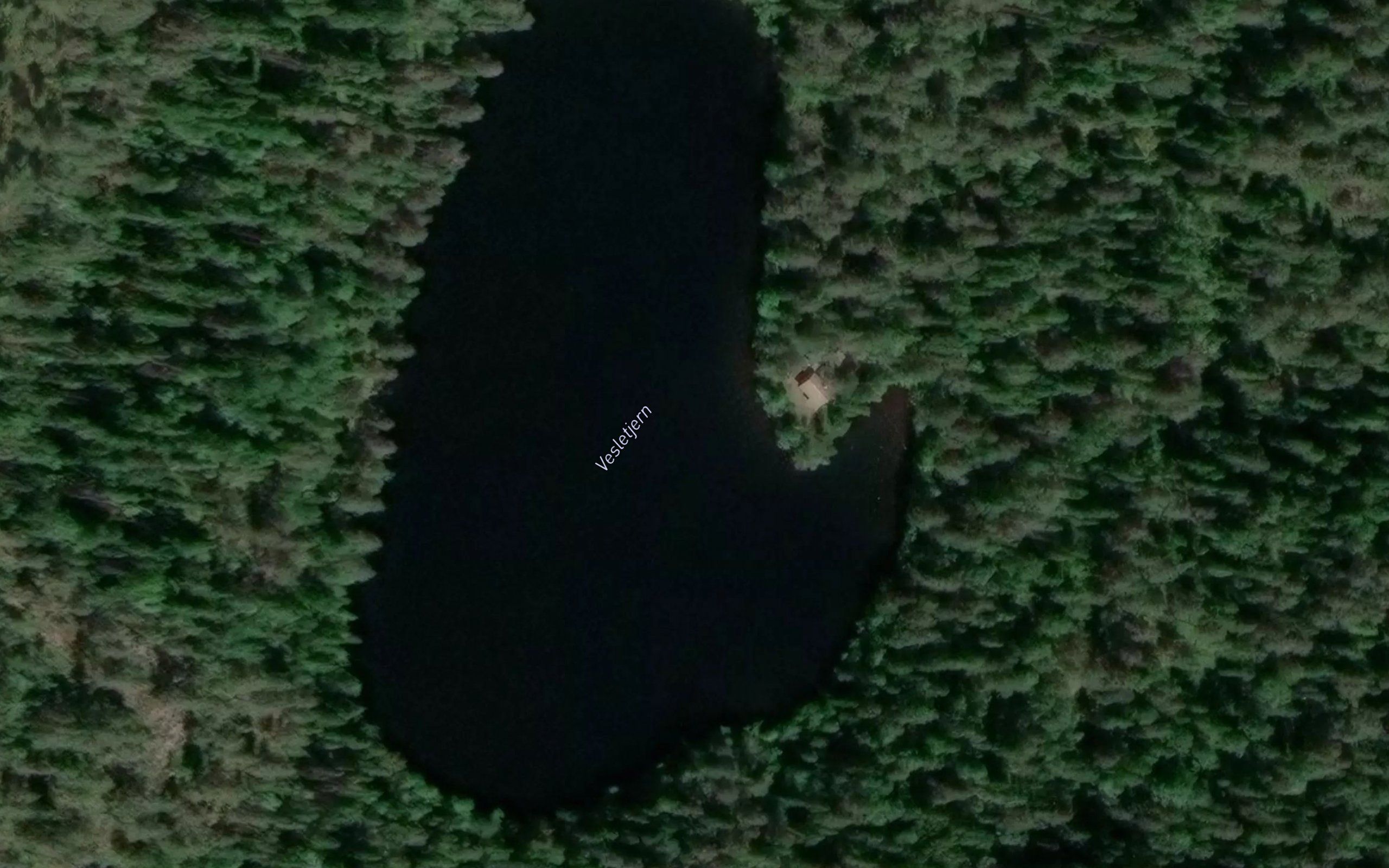 Vesletjern