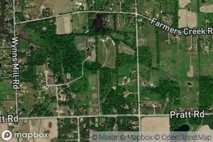 South Branch Farmers Creek