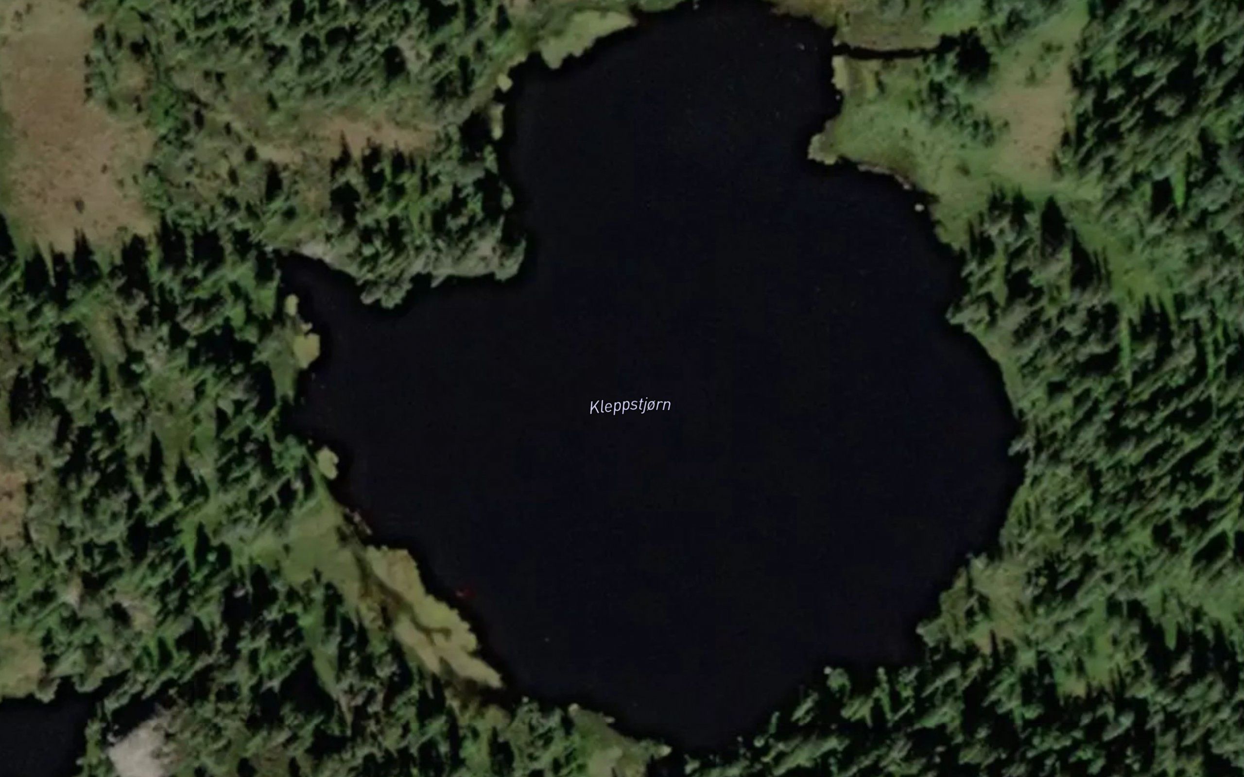 Kleppstjorn