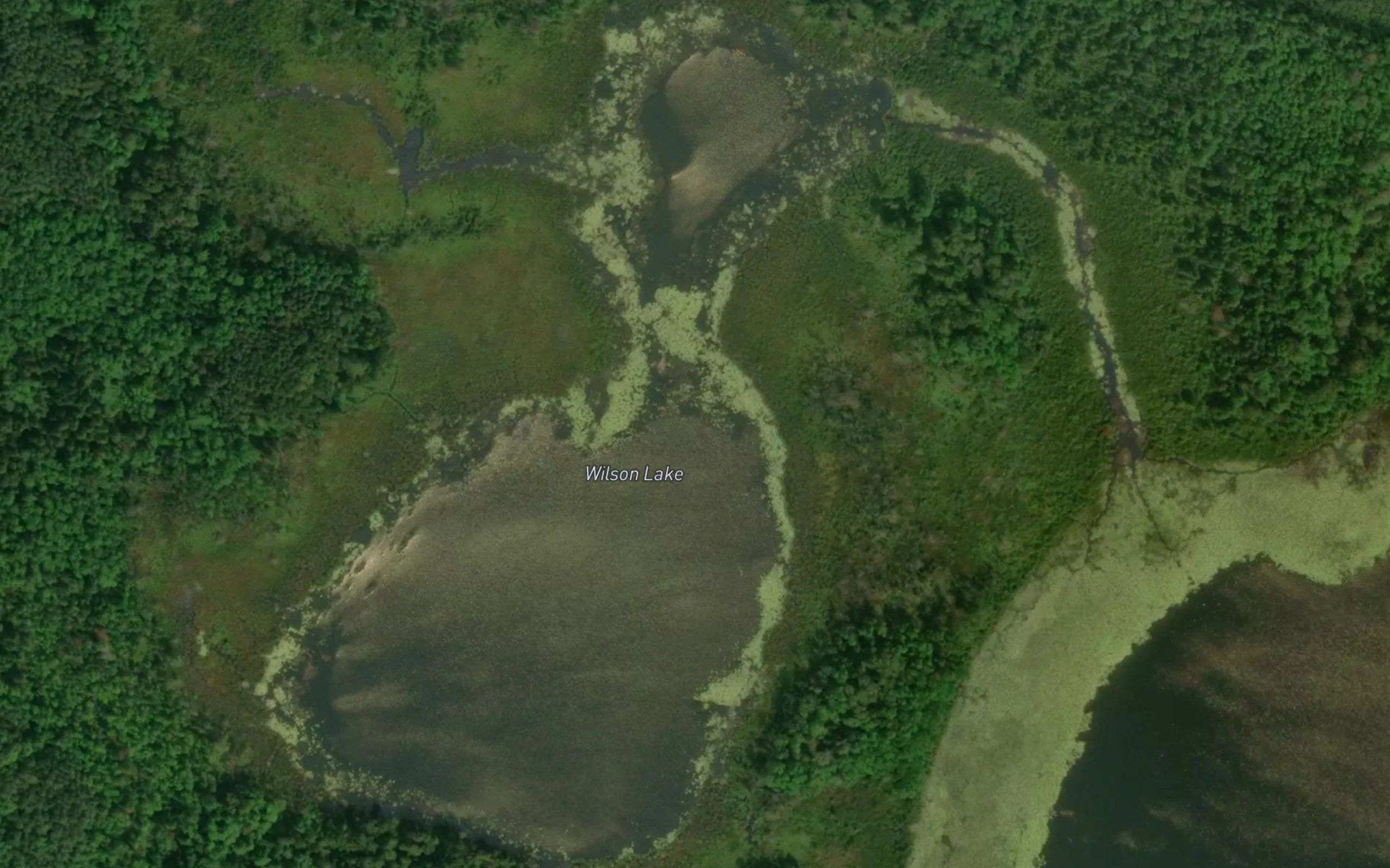 Wilson Lake
