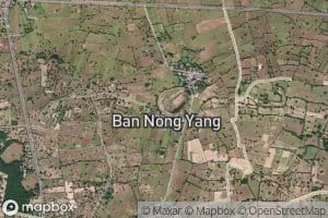 Nong Yang
