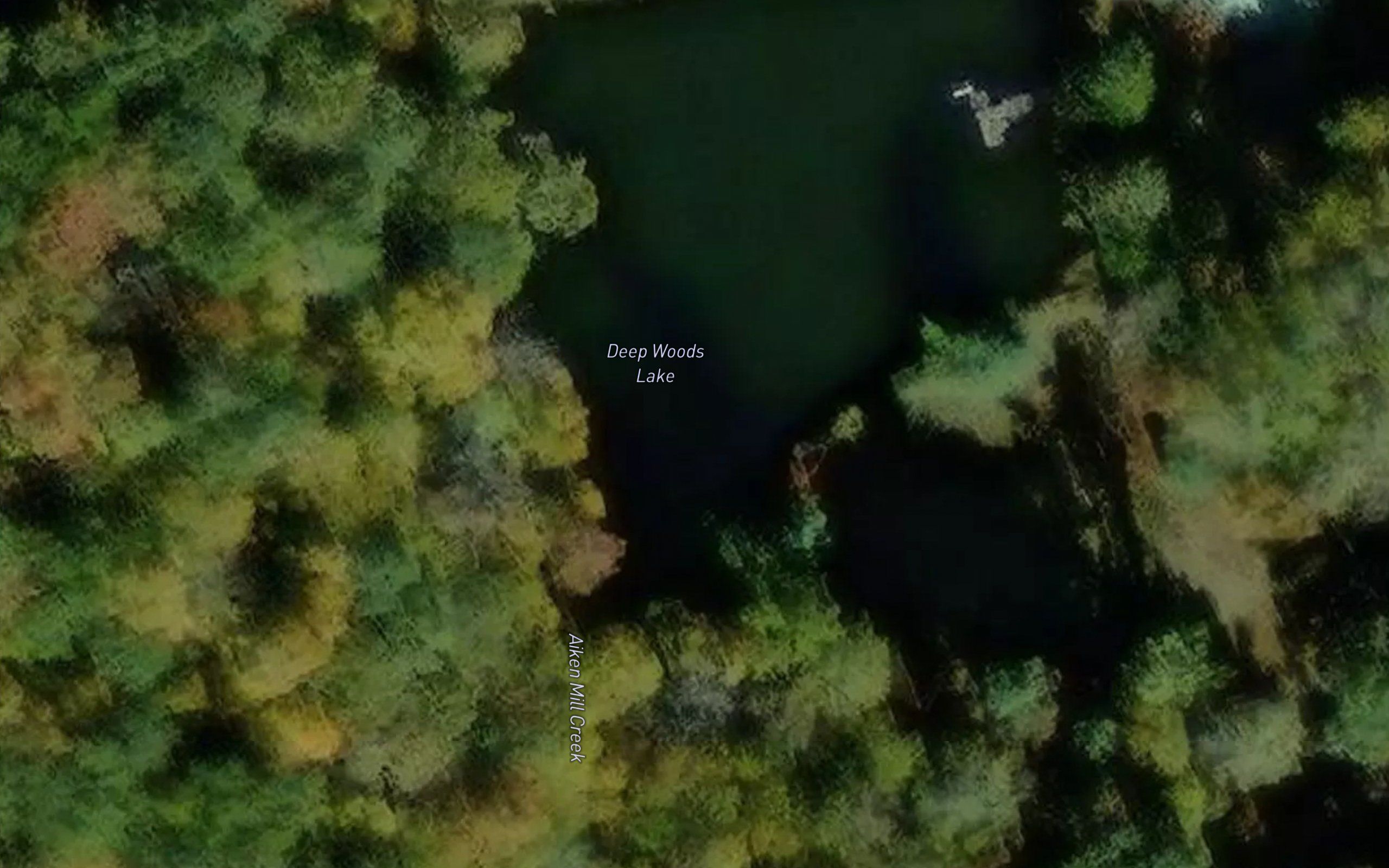 Deep Woods Lake