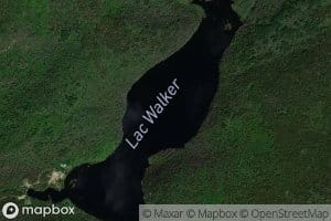 Lac Walker
