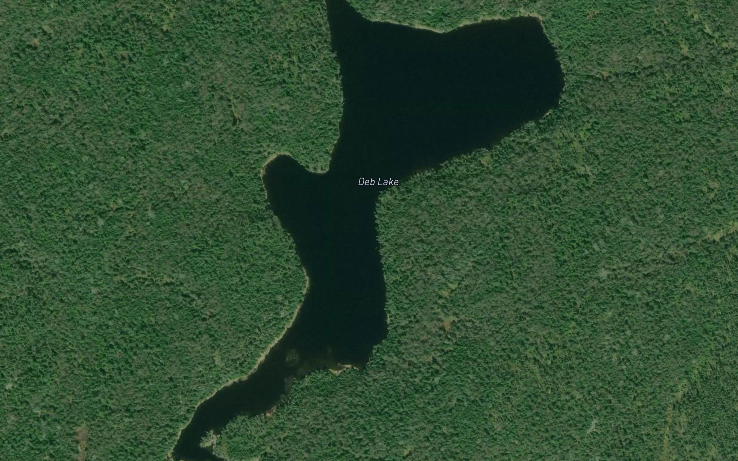 Deb Lake